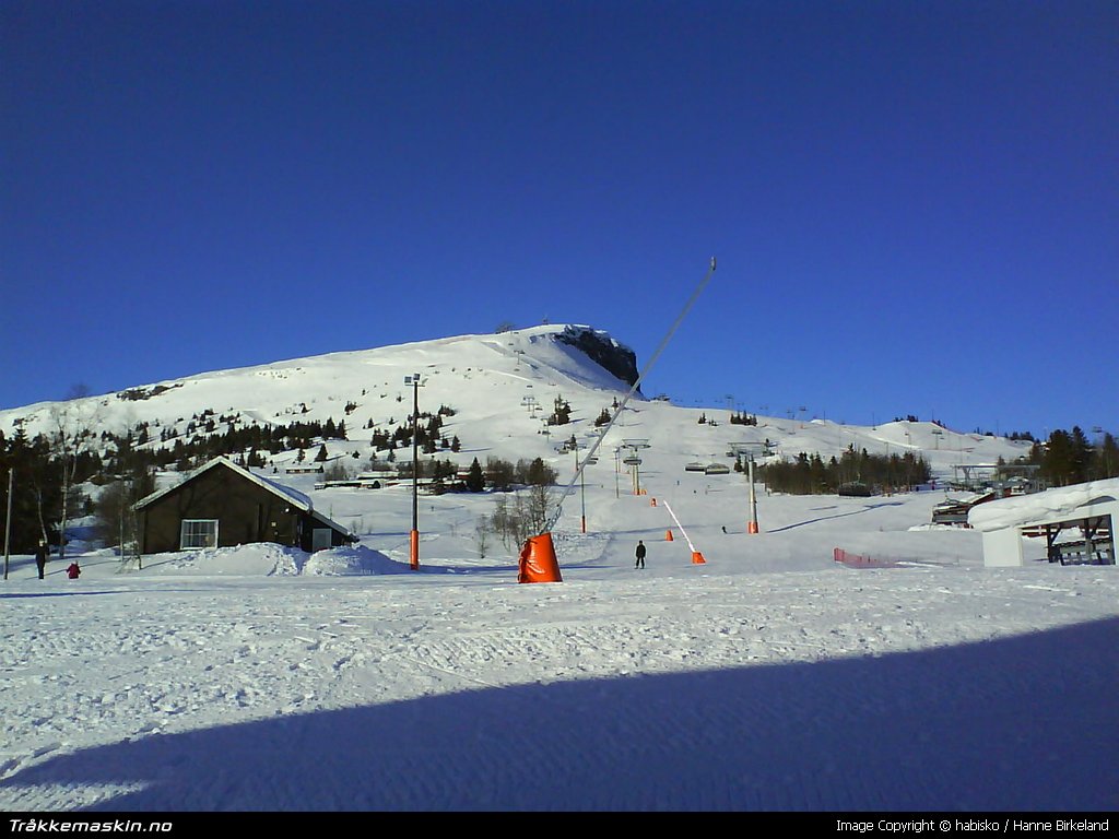 TRYKK FOR � LUKKE VINDUET