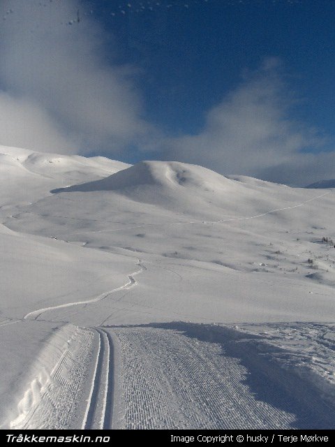 TRYKK FOR � LUKKE VINDUET