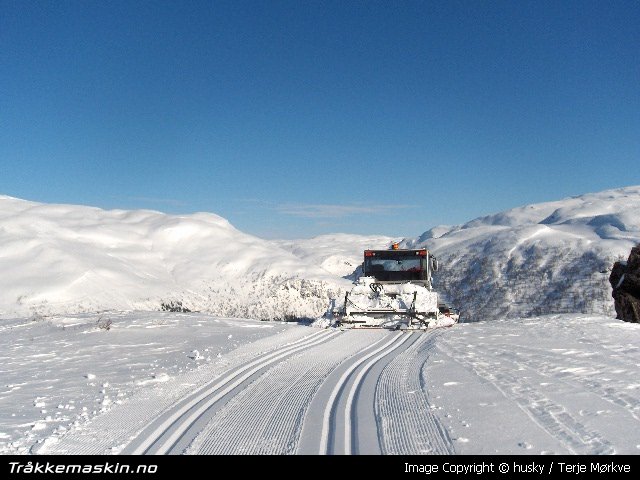 TRYKK FOR � LUKKE VINDUET