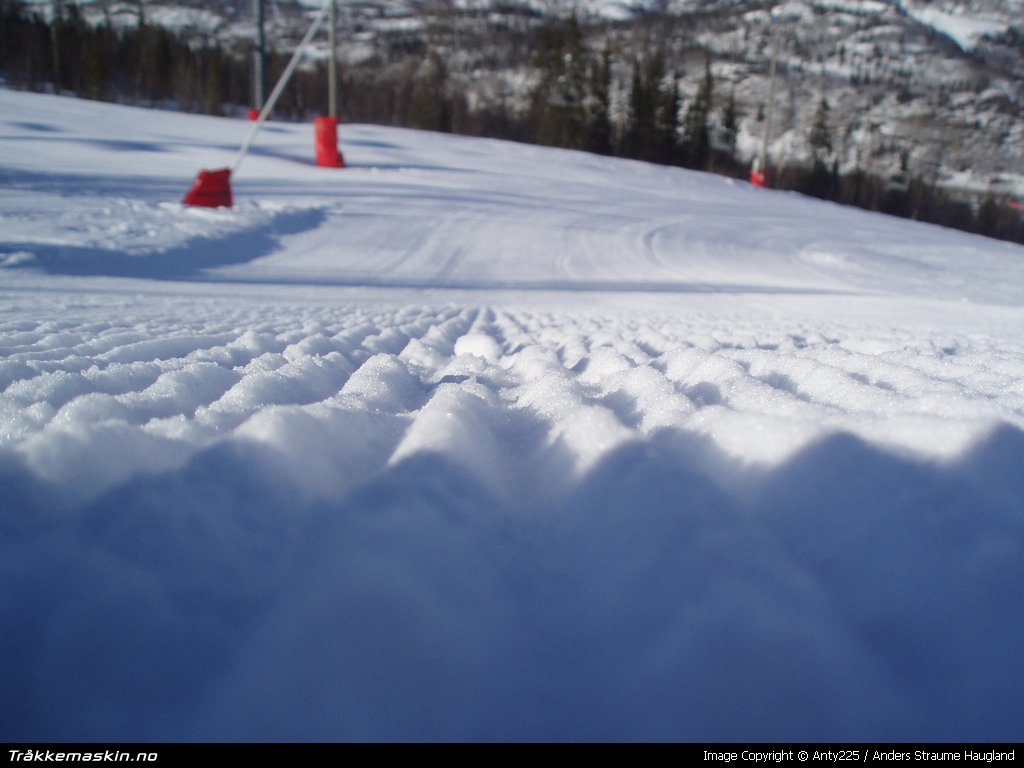 TRYKK FOR � LUKKE VINDUET