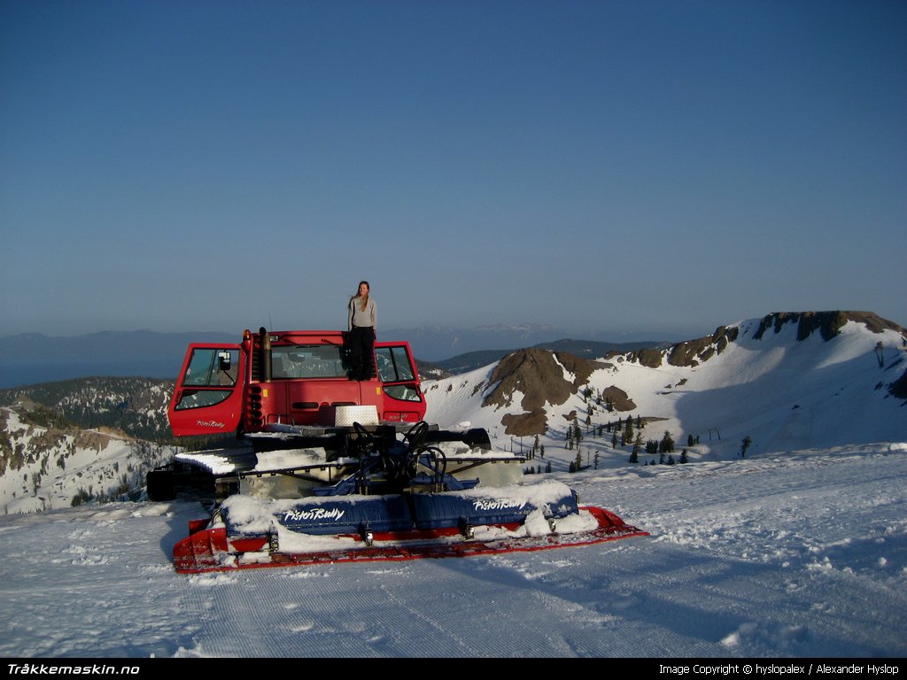 TRYKK FOR � LUKKE VINDUET