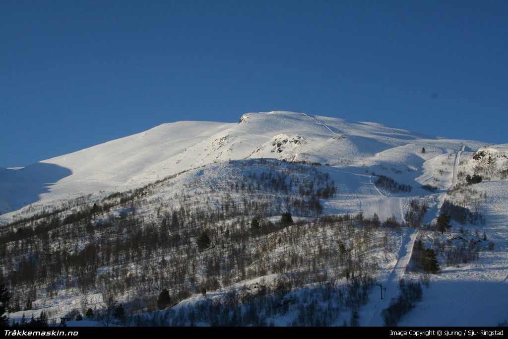 TRYKK FOR � LUKKE VINDUET