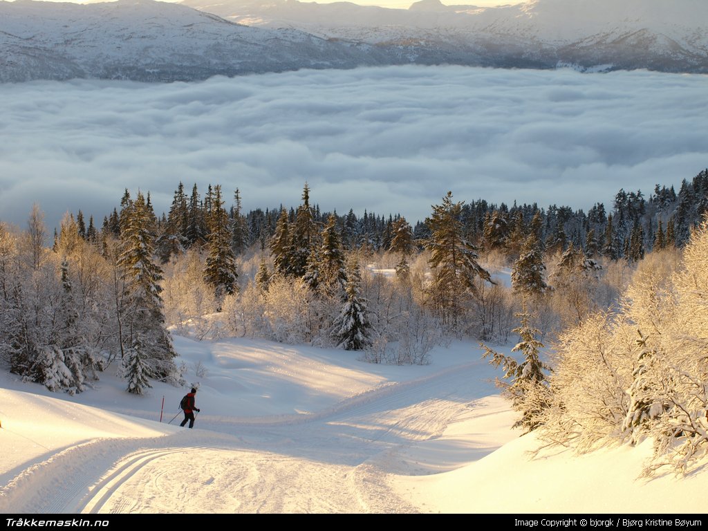 TRYKK FOR � LUKKE VINDUET