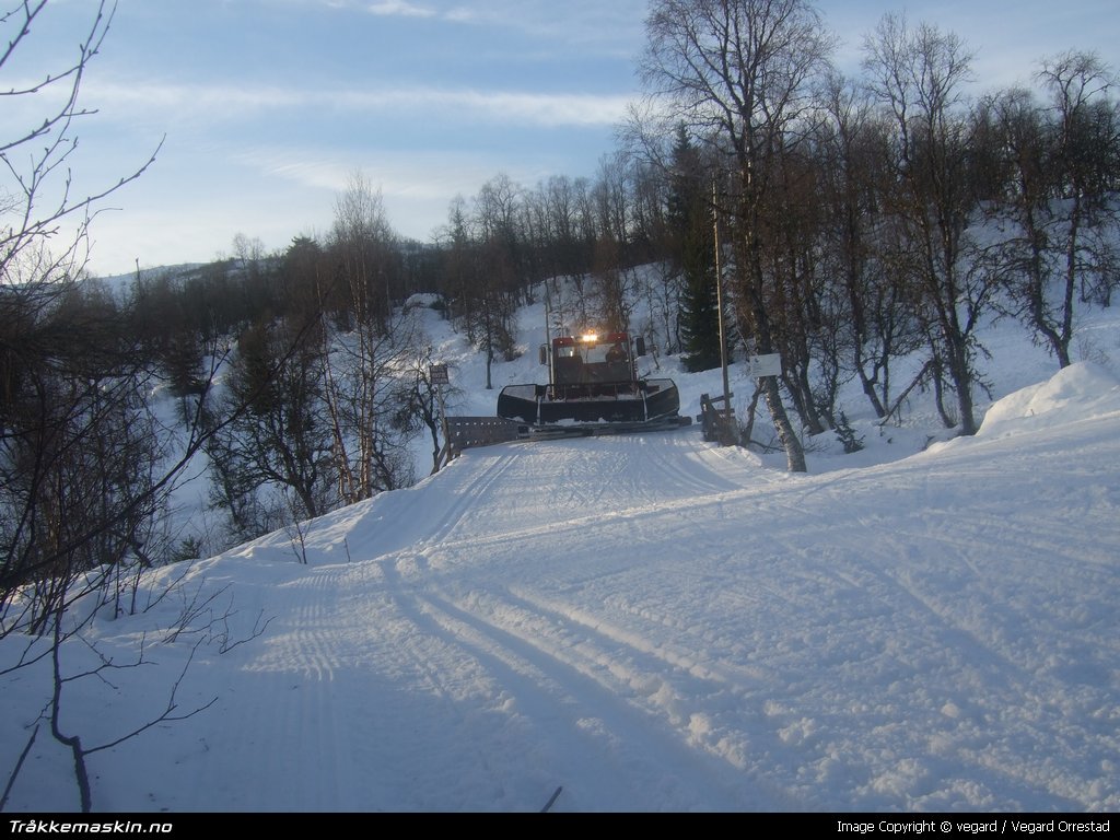 TRYKK FOR � LUKKE VINDUET