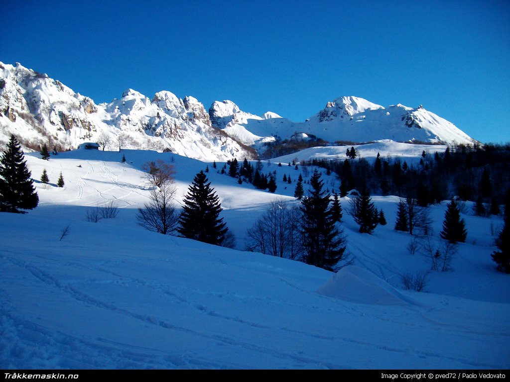 TRYKK FOR � LUKKE VINDUET