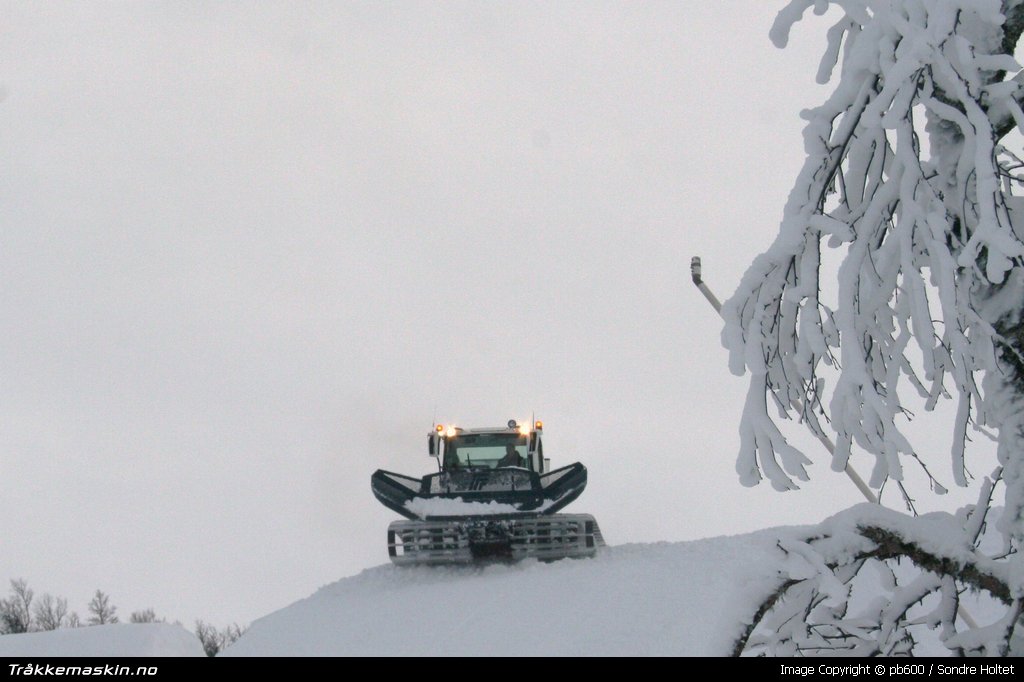 TRYKK FOR � LUKKE VINDUET