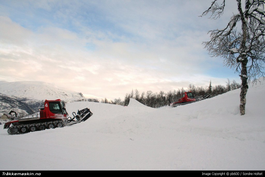 TRYKK FOR � LUKKE VINDUET