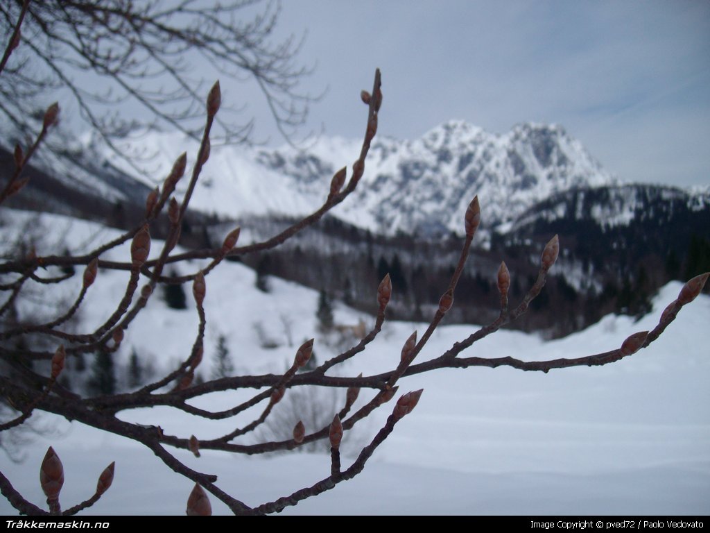 TRYKK FOR � LUKKE VINDUET