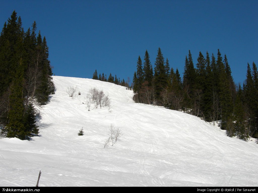 TRYKK FOR � LUKKE VINDUET