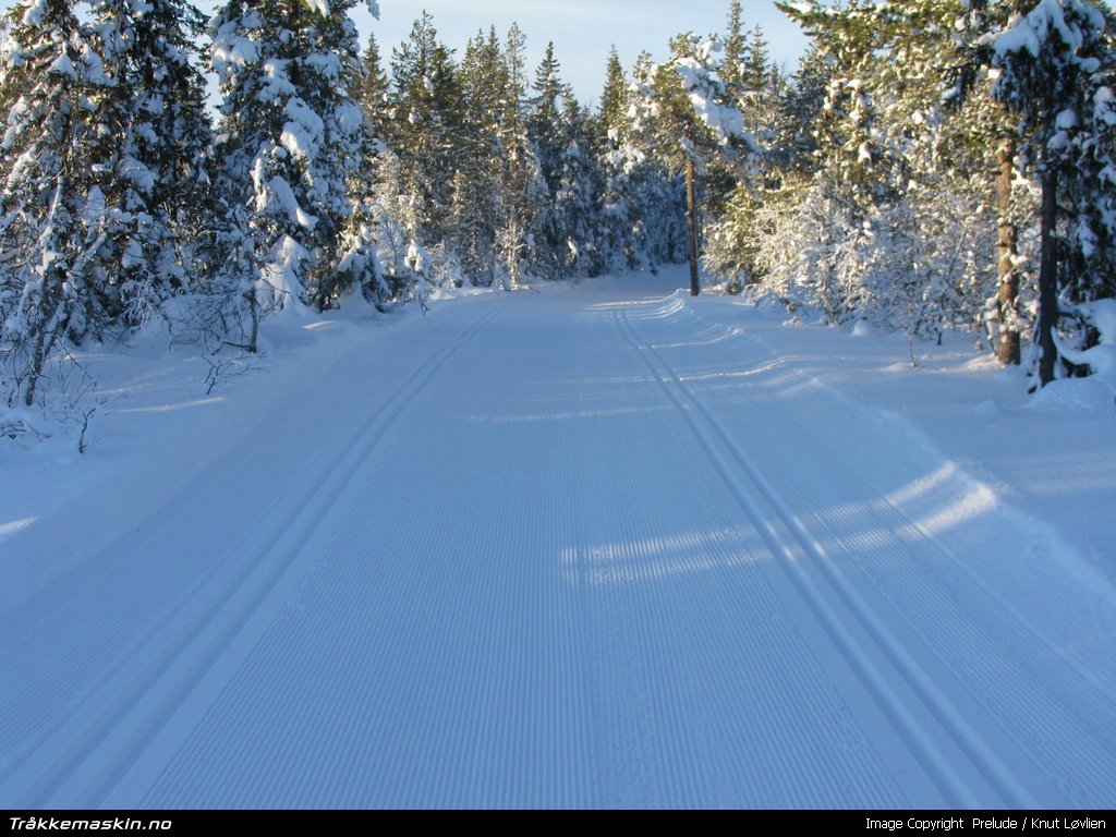 TRYKK FOR � LUKKE VINDUET