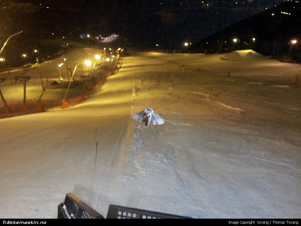 TRYKK FOR � LUKKE VINDUET