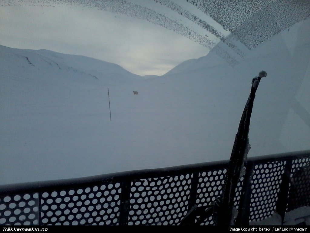 TRYKK FOR  LUKKE VINDUET